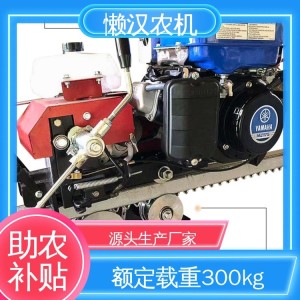 軌道搬運(yùn)車 農(nóng)用工程竹子 雅馬哈機(jī)頭 配件火花塞 懶漢農(nóng)機(jī)