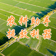 信陽淮濱到北京房山拉小麥大量要車